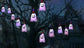 Halloween Lanterns Cloth Art String Lights Mystorenews.shop