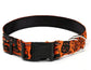 Halloween Pet Collar Mystorenews.shop